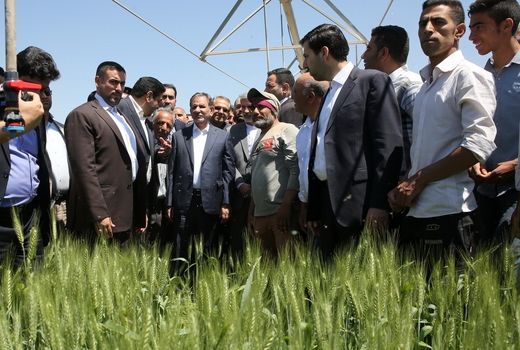 آغاز بهره‌برداری از ۱۱۲۰ هکتار سامانه نوین آبیاری در زنجان با حضور معاون رییس جمهور