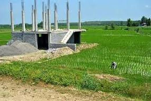 ۱۰۵ اخطار برای تغییر کاربری غیر مجاز اراضی گیلان در نوروز صادر شد