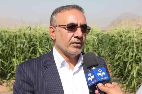تجهیز ۵۱ هزار هکتار از اراضی کشاورزی استان به سیستم آبیاری نوین