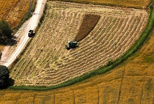 موفقیت‌های 40 ساله بخش کشاورزی حاصل تلاش مدیران جهادی است