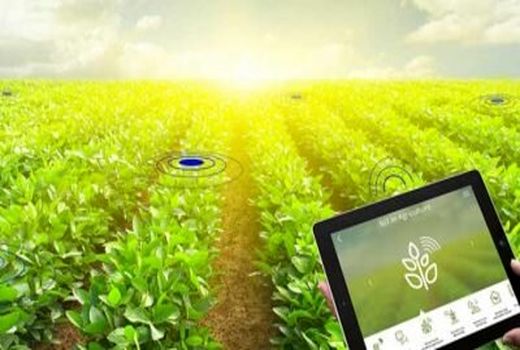 هوشمندسازی بخش کشاورزی استان البرز، این بار در حوزه تولیدات گیاهی