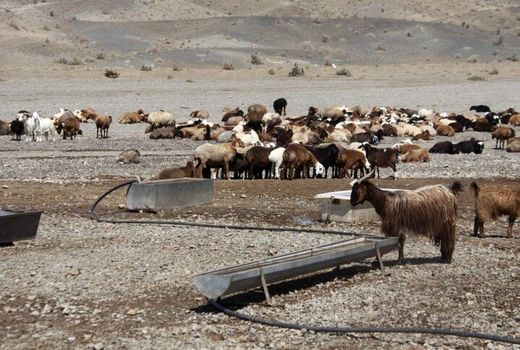 آب ۳۰۰ خانوار عشایری اسفراین تامین شد