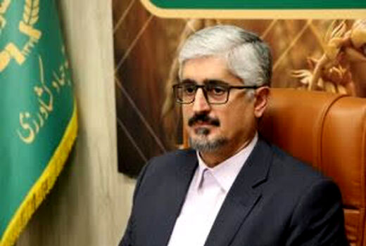 خرید گندم در استان فارس ۱۶ درصد افزایش یافت