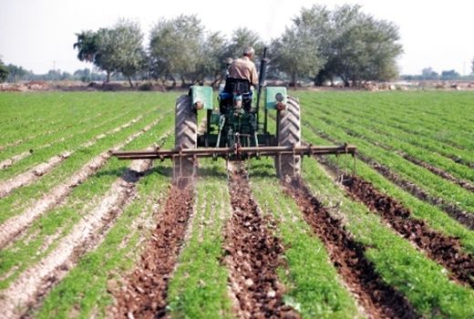 اشتغالزایی برای دو هزار و 400 نفر در بخش کشاورزی همدان
