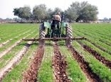 اشتغالزایی برای دو هزار و 400 نفر در بخش کشاورزی همدان