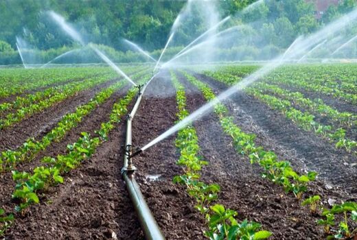 اختصاص ۱۶۰۰ میلیارد تومان اعتبار از صندوق توسعه ملی برای توسعه سامانه های نوین آبیاری در سال ۹۹