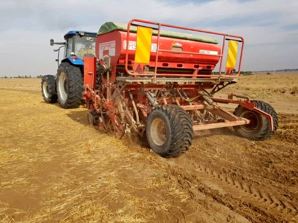 کشت مستقیم یا بی خاکورزی گندم در منطقه عین خوش دهلران