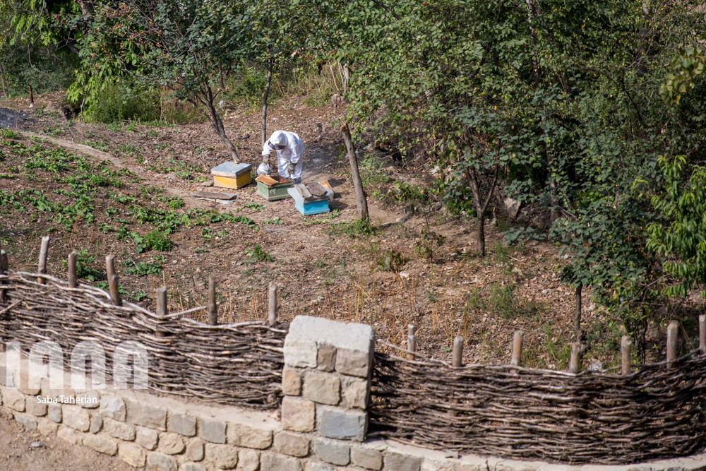 روستای ساسنگ
