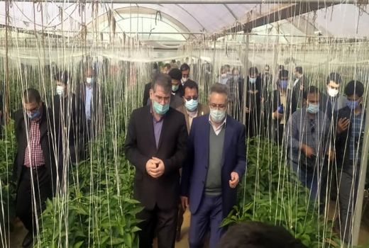 تخصیص ارز ترجیحی بخش کشاورزی تعیین تکلیف می شود