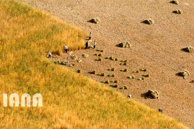 هندسه کشاورزی