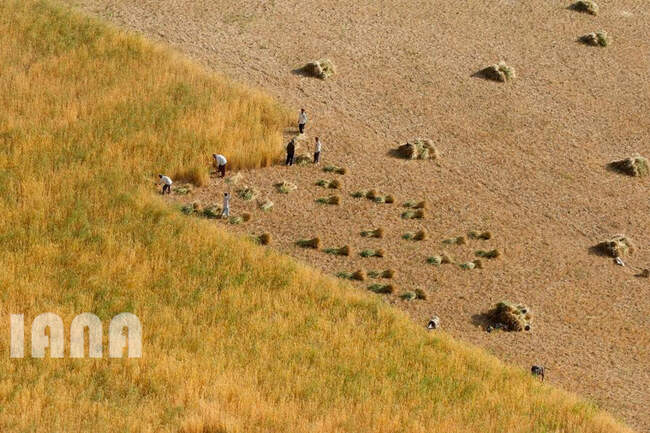 هندسه کشاورزی