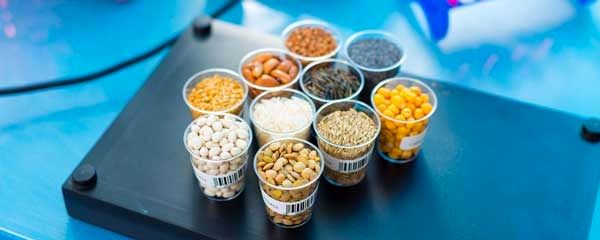 حمایت 35 هزار میلیارد ریالی بانک کشاورزی از تولید بذور مقاوم و پربازده