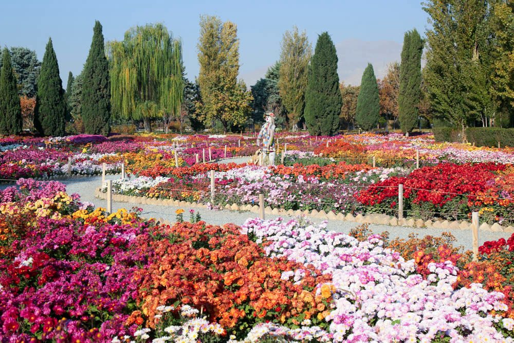 بازدید تور رسانه ای از باغ ملی گیاه شناسی ایران                   