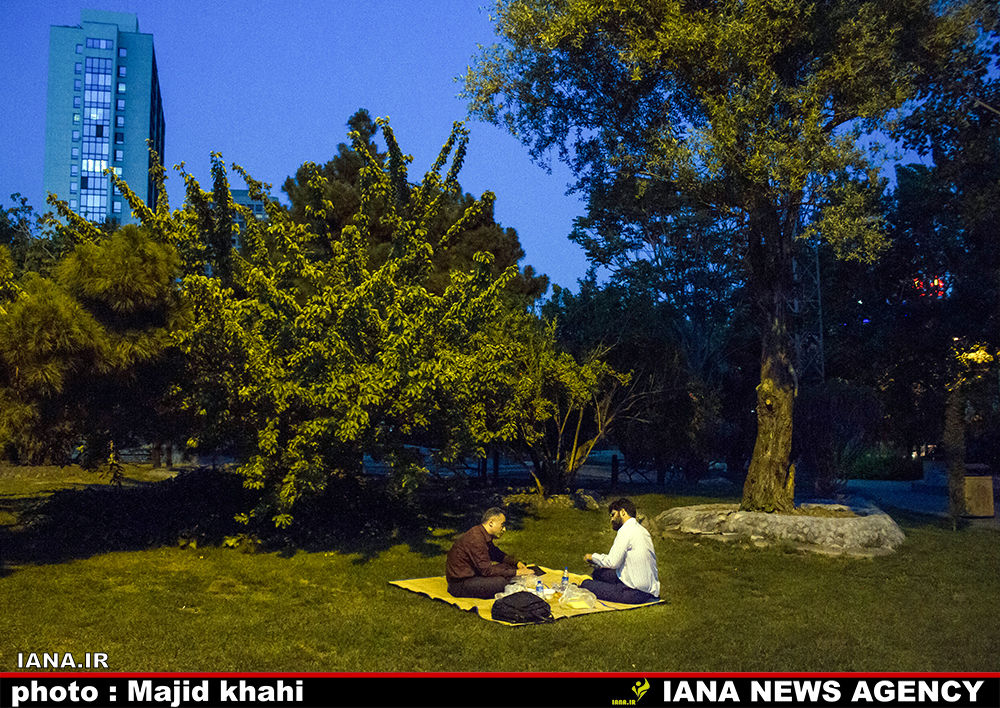 افطار در فضای سبزشهری