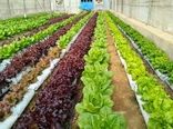 تنوع ژنتیکی کاهو سرمایه‌ای برای کشاورزی پایدار ایران است