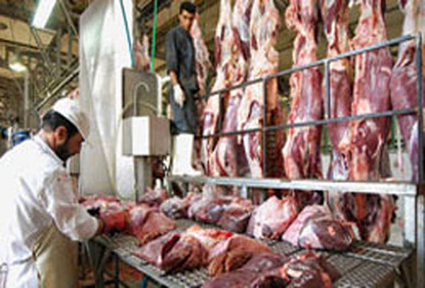 عرضه گوشت قرمز در میادین تهران و مناطق جنوبی شهر