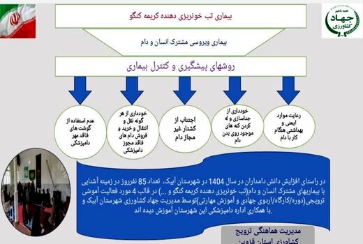 بیماری تب خونریزی دهنده کریمه کنگو