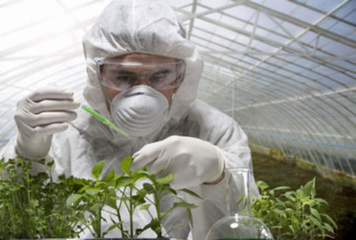 گیاه پزشکان، حافظان گمنام امنیت غذایی