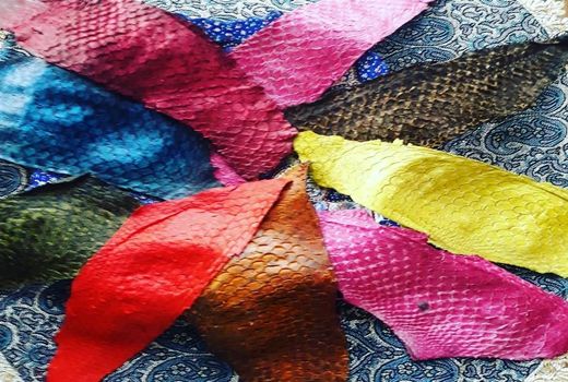 ایجاد صنعت پاک با مدیریت پسماند های آبزی پروری در استان آذربایجان شرقی 