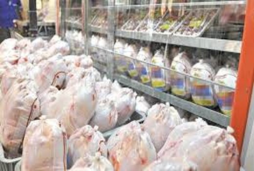 تولید بیش از 8.5 هزار  تن گوشت مرغ در شیروان 