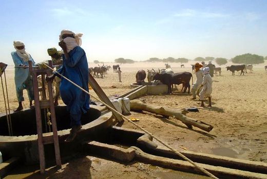 هشدار فائو درباره بحران‌ جهانی صنعت کشاورزی