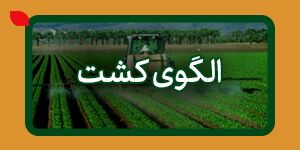  الگوی کشت