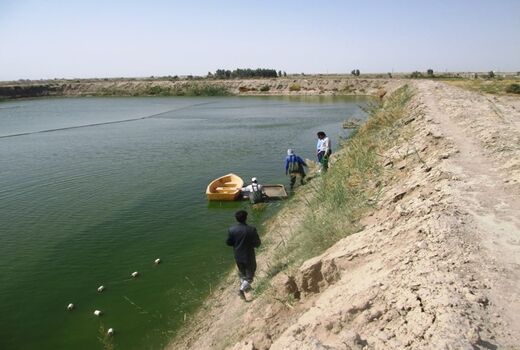 رهاسازی 29 میلیون لاروماهی در آب‌های سیستان و بلوچستان