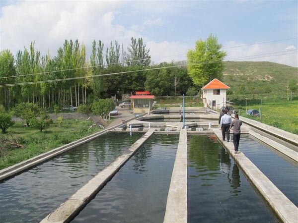 اشتغال زایی خانوادگی با صنعت آبزی پروری در استان آذربایجان شرقی