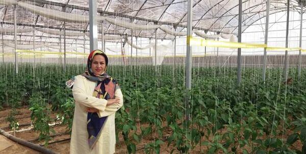 ماجرای جوان چهارمحالی که امروز خودش به تنهایی یک اداره کار است