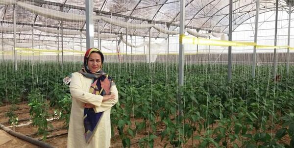 ماجرای جوان چهارمحالی که امروز خودش به تنهایی یک اداره کار است