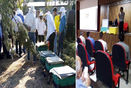 کارگاه آموزشی استحصال زهر زنبور عسل در دماوند برگزار شد