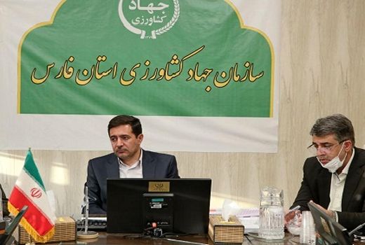 روند پرداخت تسهیلات حمایتی رصد و پایش می شود