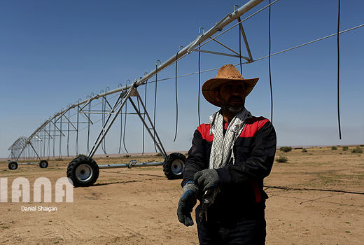 اتمام فاز نخست طرح ٥٥٠ هزار هکتاری با ١.٥ میلیارد  دلار اعتبار