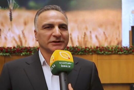 سالانه 400 هزار تن بذر اصلاح و گواهی‌شده گندم تولید می‌شود