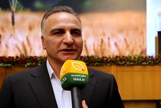 سالانه 400 هزار تن بذر اصلاح و گواهی‌شده گندم تولید می‌شود