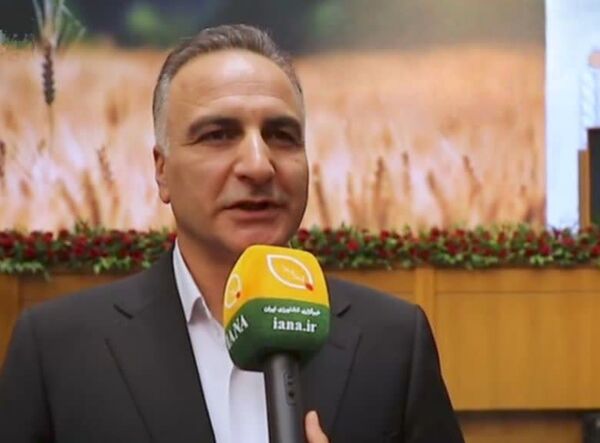 سالانه 400 هزار تن بذر اصلاح و گواهی‌شده گندم تولید می‌شود