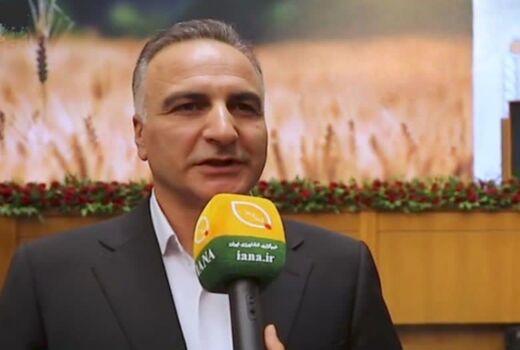 سالانه 400 هزار تن بذر اصلاح و گواهی‌شده گندم تولید می‌شود