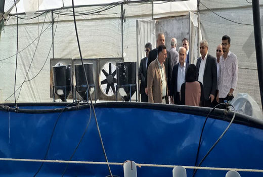 طرح‌های توسعه آبزی‌پروری در مناطق ساحلی جنوب کشور سرعت می گیرد