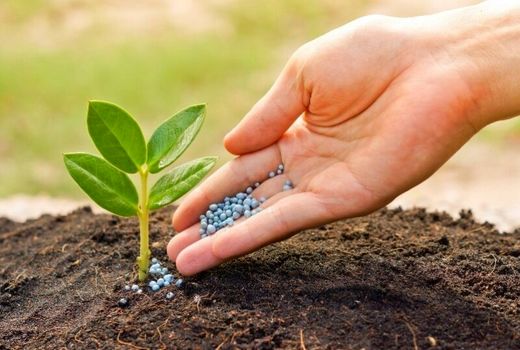 بررسی مشکلات جذب وتوزیع کود شیمیایی شرکت‌های تعاونی پاکدشت