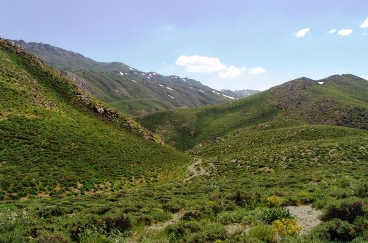  ۱۰۰ میلیارد تومان برای احیای مراتع و جنگل ها