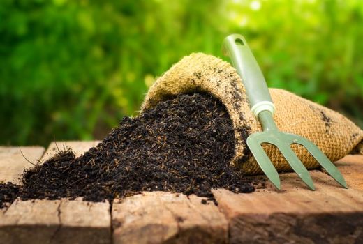 توزیع بیش از 340 هزار تن کود و بذر در خوزستان