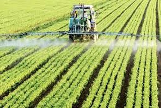 انجام کشت قراردادی در خراسان شمالی در دستور کار سازمان جهاد کشاورزی 