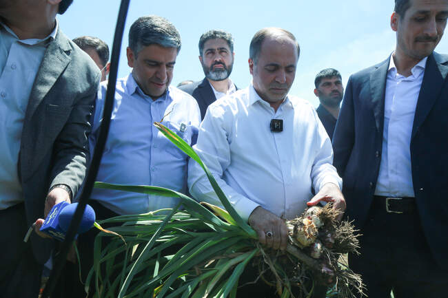  سفر وزیر جهاد کشاورزی به اردبیل 