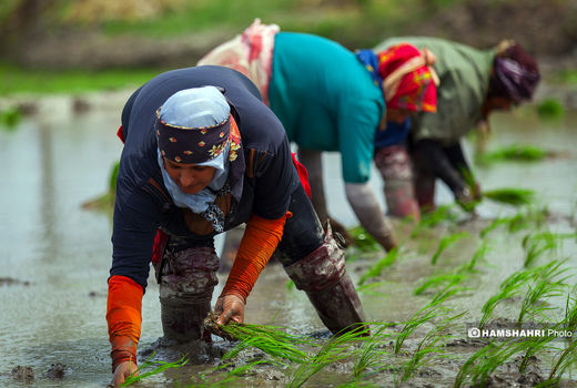 از ایران تا آسیا و اقیانوسیه؛ صدای زنان روستایی ایرانی شنیده شد