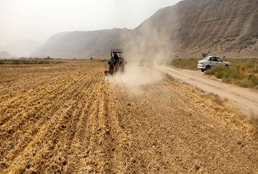 آغاز کشت ذرت علوفه ای در خنج 