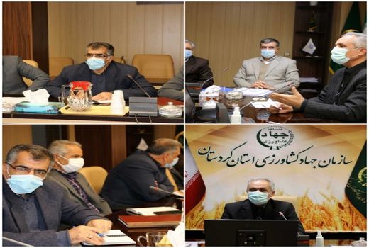 بازرسان قرارگاه امنیت غذایی به طور گسترده تری در بازار حضورخواهند داشت