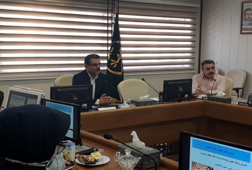 تولید ۱۱ هزار و ۶۰۰ تن روغن زیتون در کشور