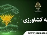 اجرای بیمه فراگیر گندم به پایان رسید