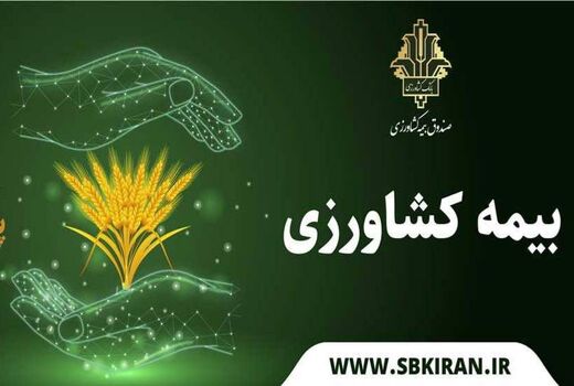 اجرای بیمه فراگیر گندم به پایان رسید