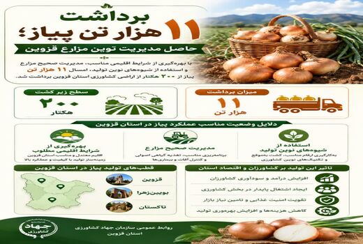 برداشت ۱۱ هزارتن پیاز؛ حاصل مدیریت نوین مزارع قزوین